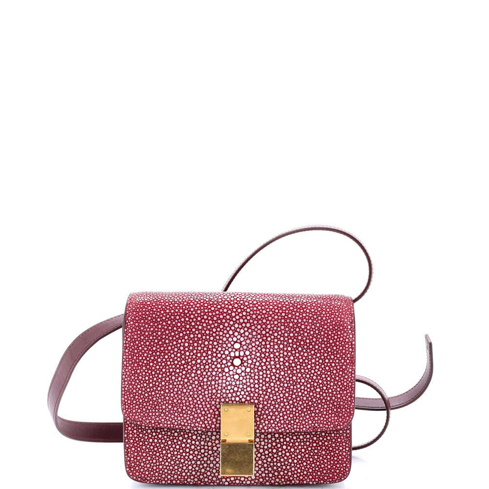 Celine Classic Box Bag Stingray Small #230729C17B